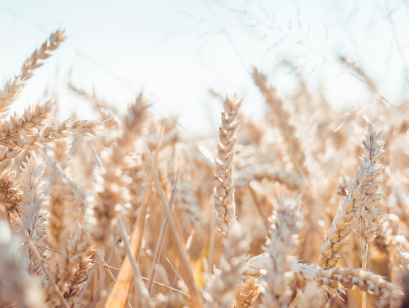 История предприятия